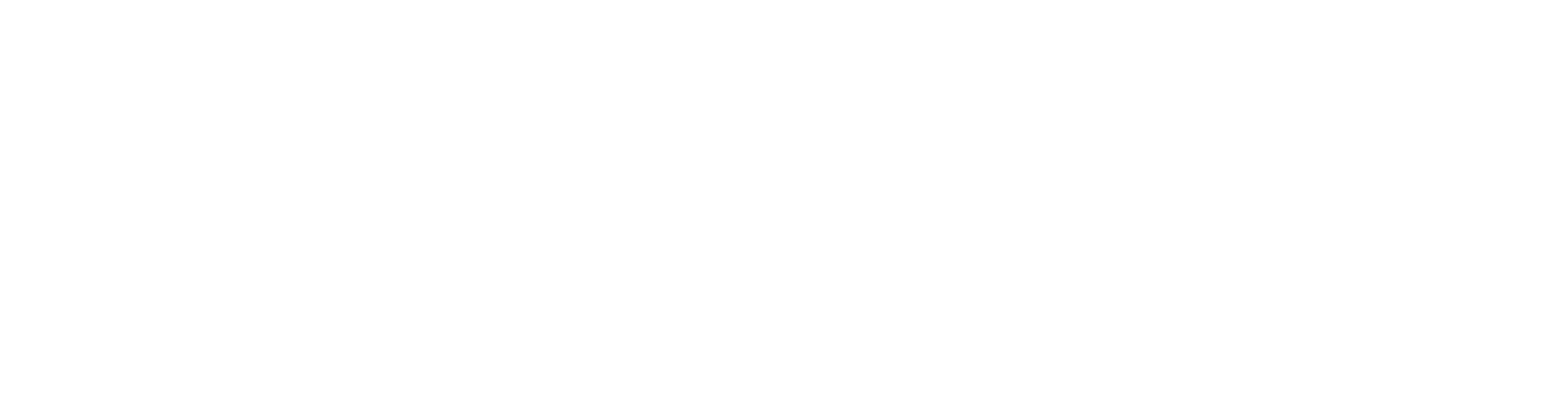 CodeVPN Logo